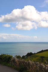 Meerblick - Devon 110904