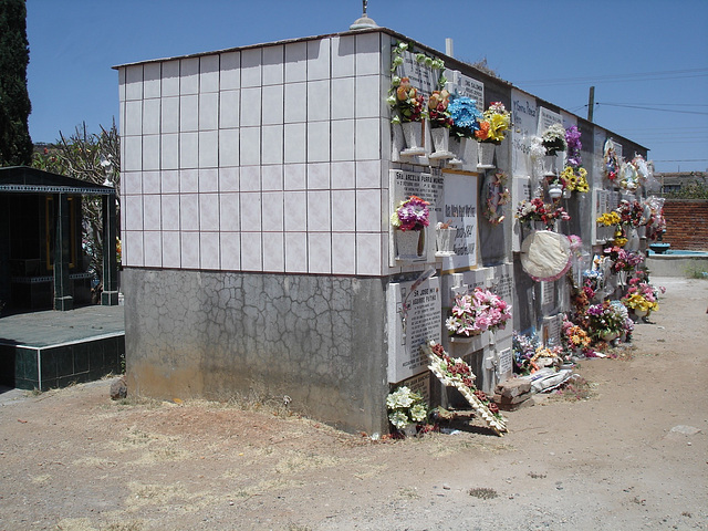 Tequila, Jalisco - Mexique / 23 mars 2011