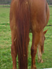 DSC00887