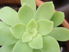 P9183394