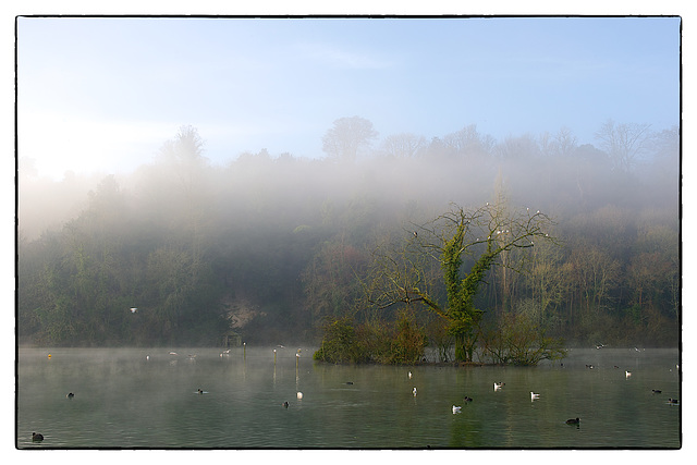 Swanbourne Lake, Arundel