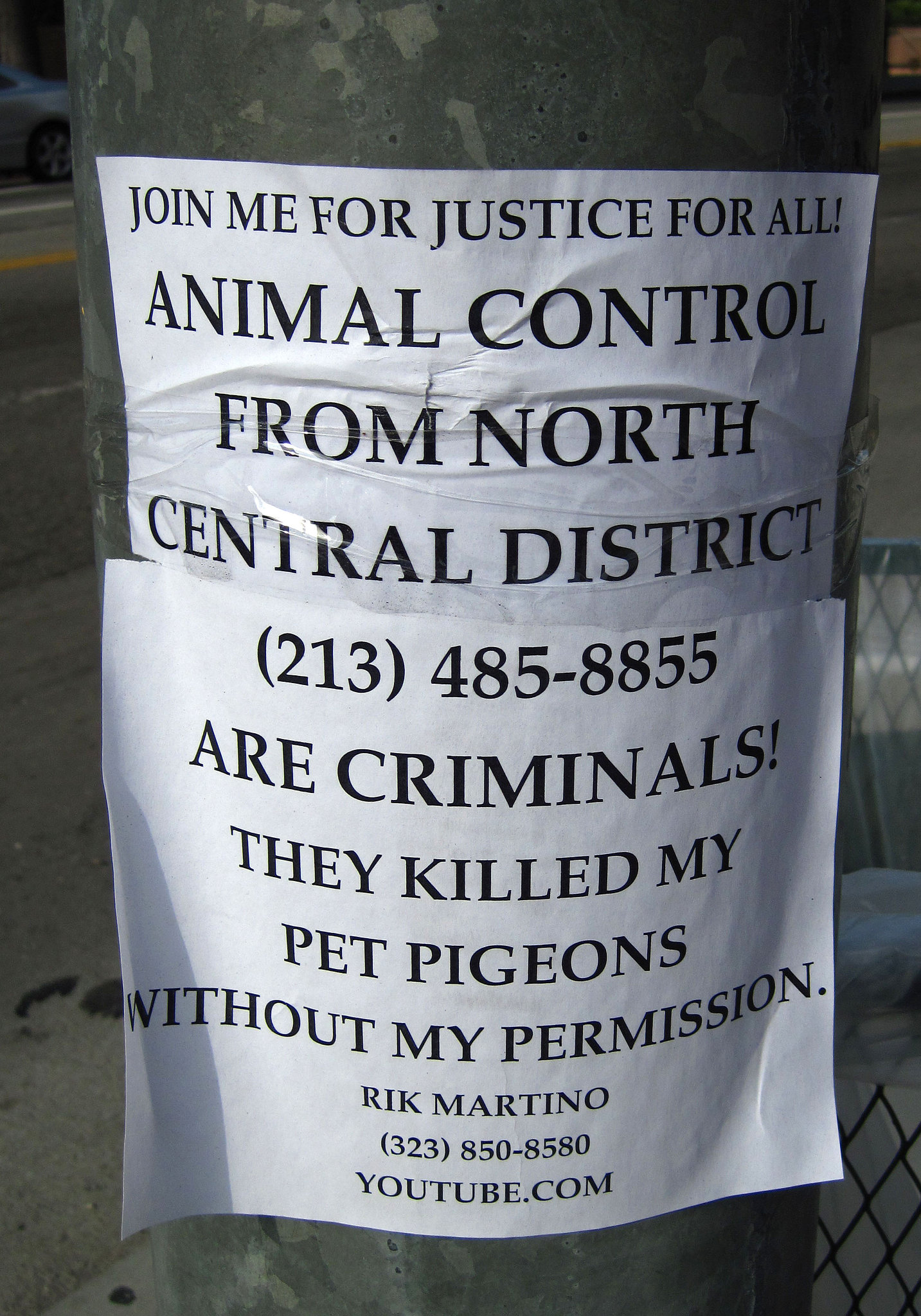Great L.A. Walk (0939)