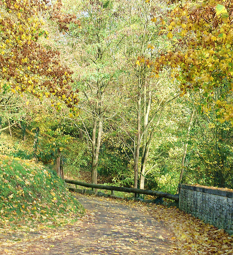 DSC01034
