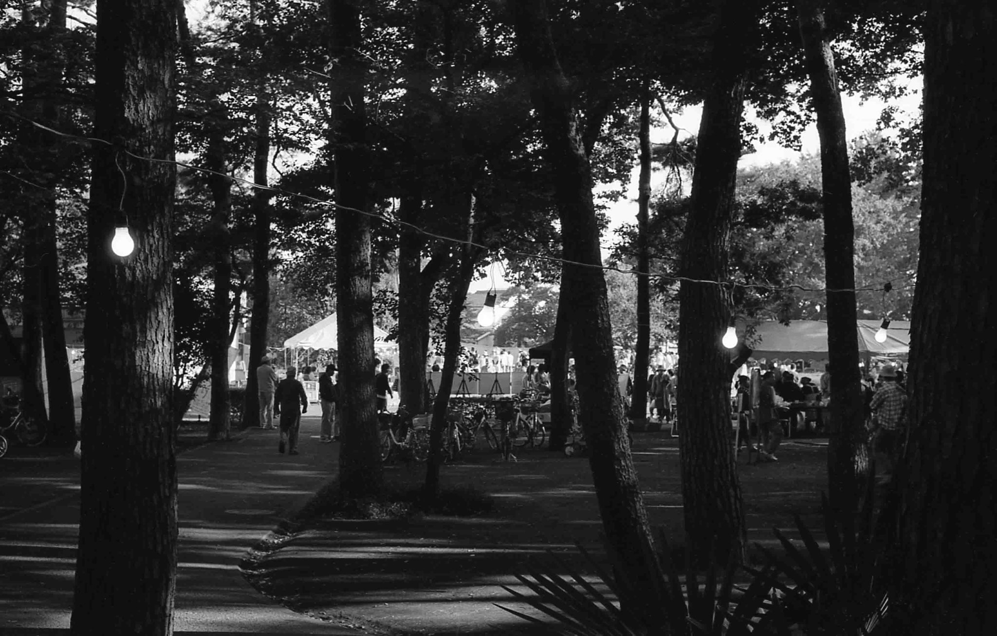 Festival in a park