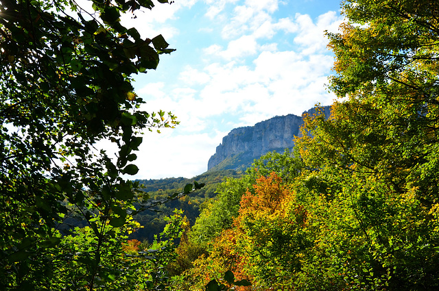 Paysage d'automne