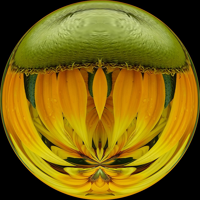 Flowercircle