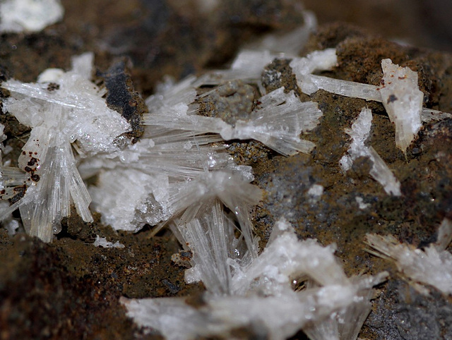 Aragonite aciculaire ( en oursins d'aiguilles ) Aragonite aciculaire ( en oursins d'aiguilles )