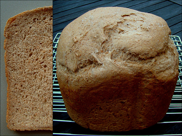 WGB Challenge #25: High-Extraction Flour Miche (?)