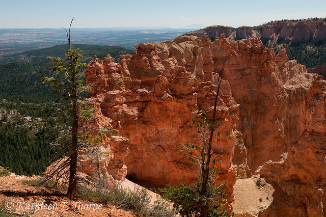 Bryce Canyon NP - Ponderosa Point 2 SOOC