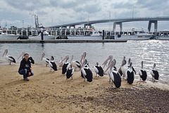 pelicans et Fabienne