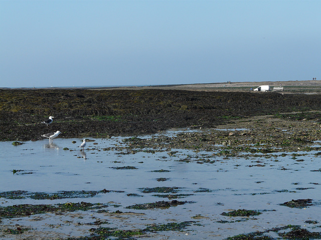 bord de mer