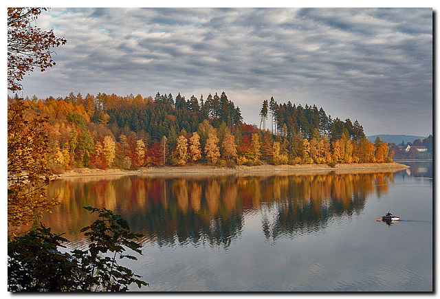 Herbstwald am See