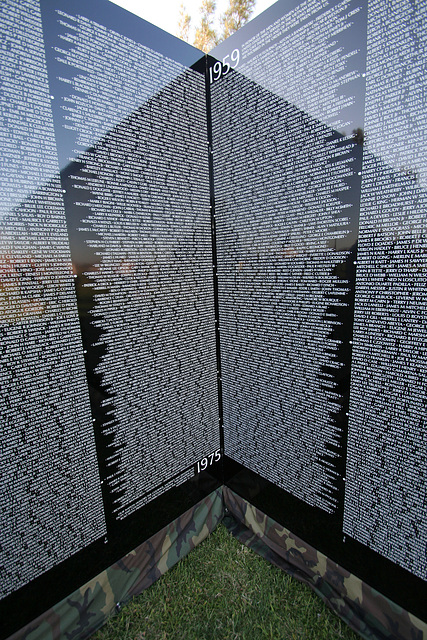 Vietnam Memorial Moving Wall (1491)