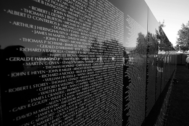 Vietnam Memorial Moving Wall (1493A)