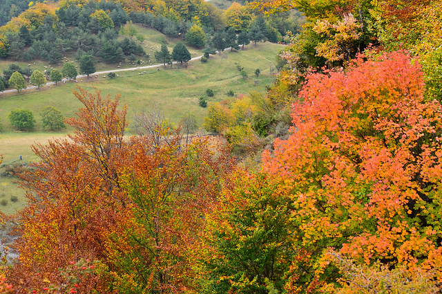 Automne aux Trois Becs