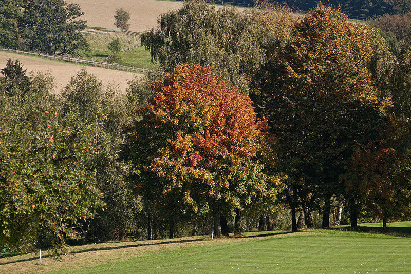 20111001 6553RAfw Herbst [Heerhof HF]