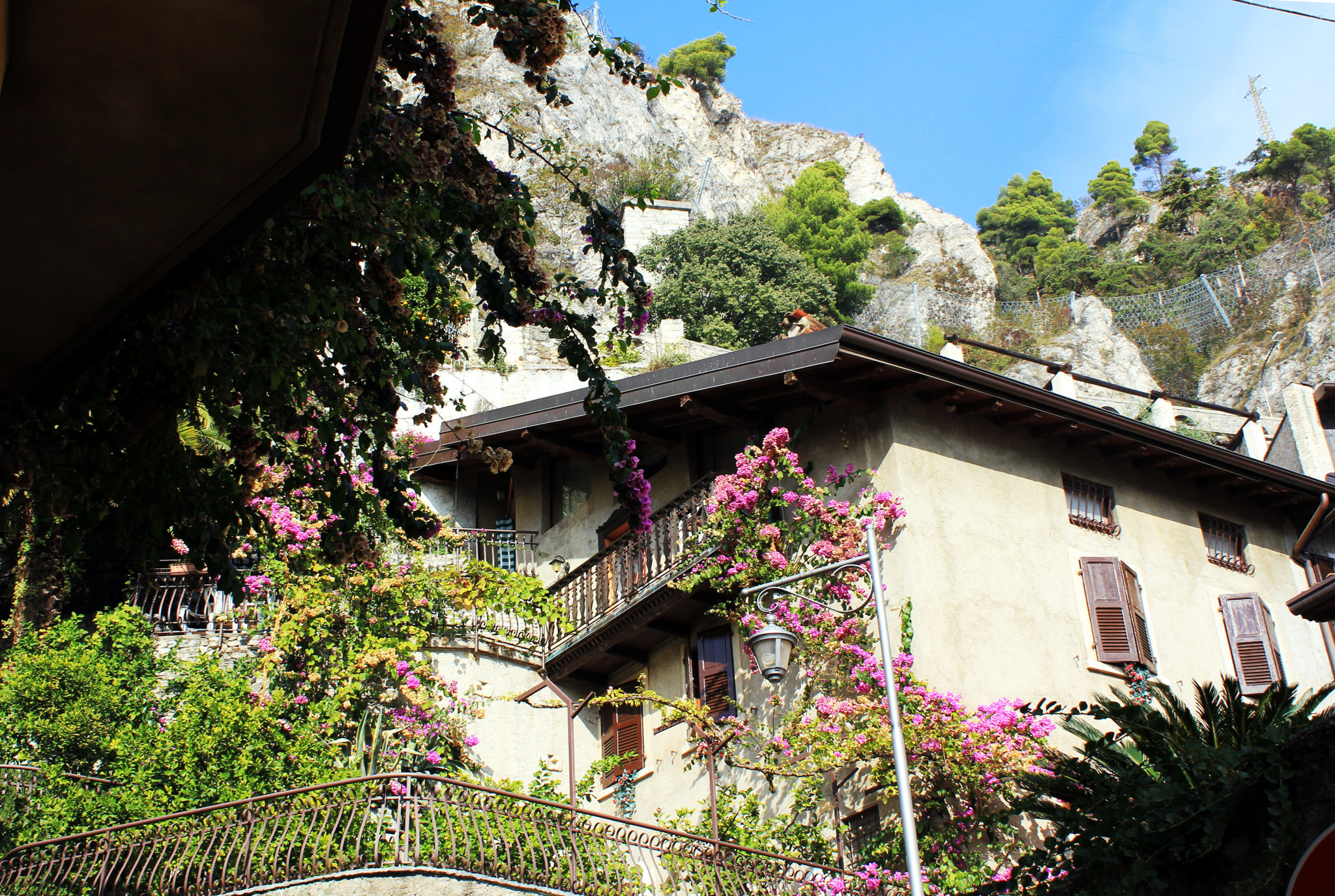 Limone