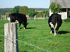 DSC00669