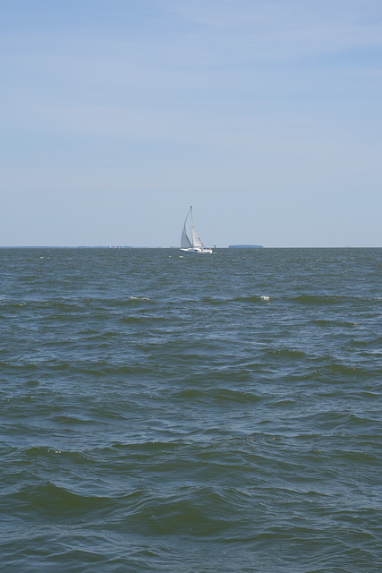 sailing 041