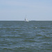 sailing 041