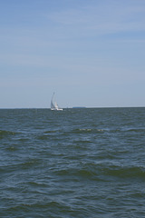 sailing 042