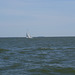 sailing 042