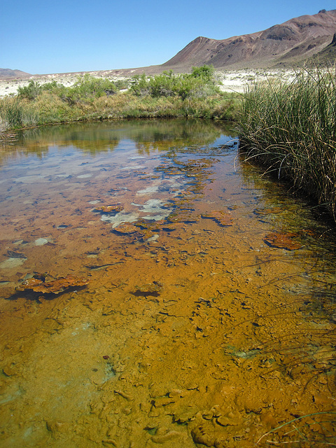 Black Rock Hot Springs (0190)