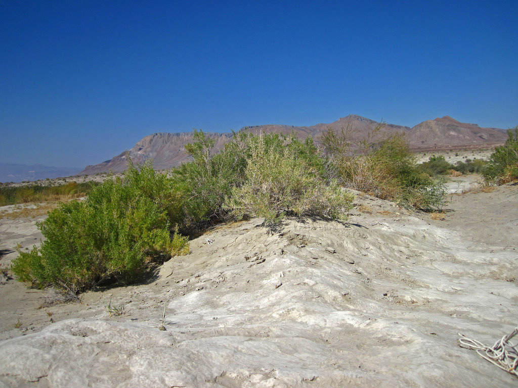 Black Rock Hot Springs (0192)