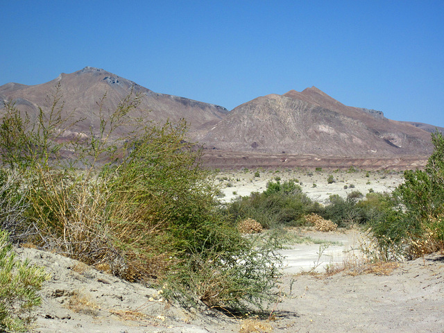 Black Rock Hot Springs (0193)