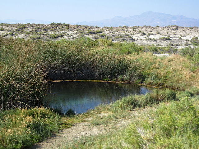 Black Rock Hot Springs (0211)