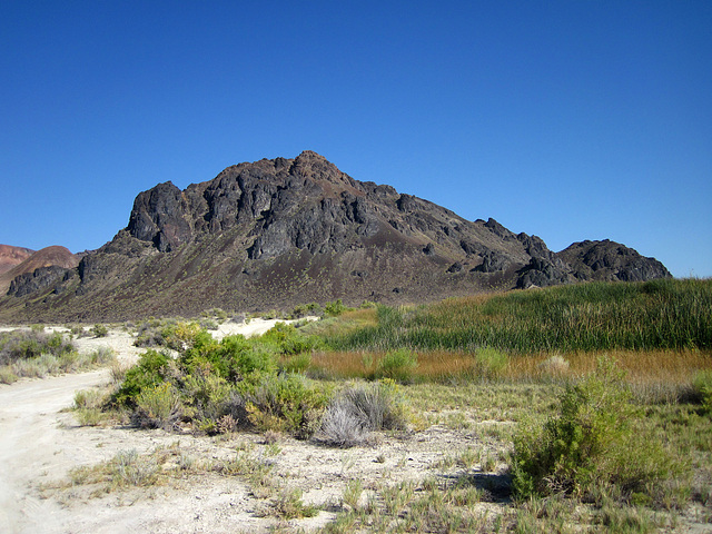 Black Rock Hot Springs (0213)