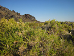 Black Rock Hot Springs (0220)