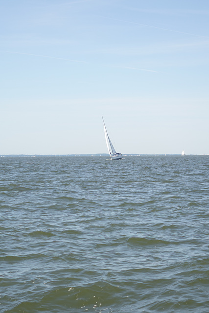 sailing 066