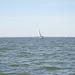 sailing 066