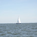 sailing 067