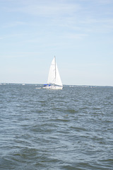 sailing 068