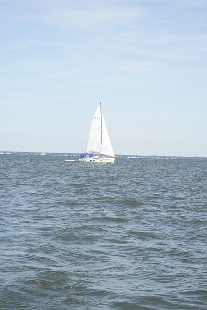 sailing 068