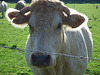 DSC00640