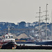 s.v. tenacious on the thames