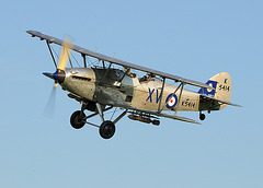 Hawker Hind (b)