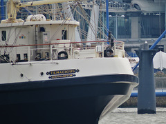 s.v. tenacious on the thames