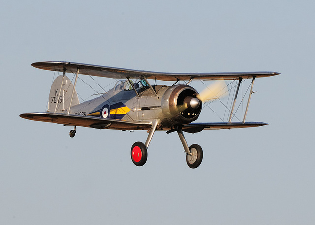 Gloster Gladiator