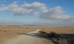 Carrizo Plain Natl Mon (0921)