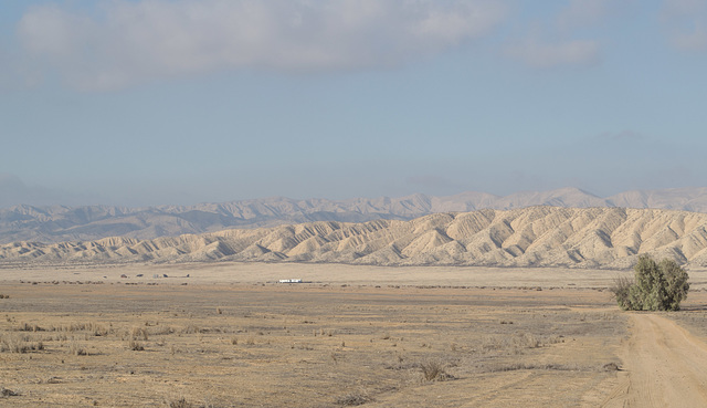 Carrizo Plain Natl Mon (0914)