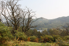 View from the Coffin Trail