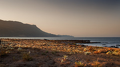 beach of the lilies