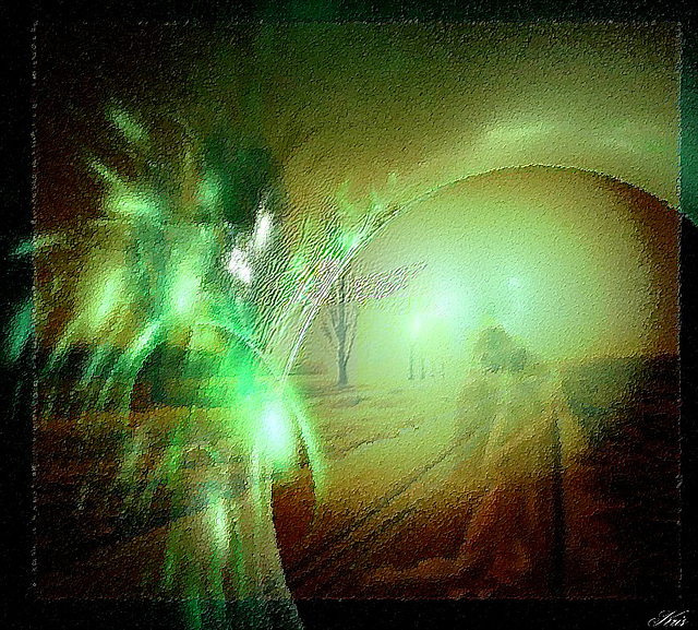 Via, via, vieni via di qui,......... niente più ti lega a questi luoghi, ....................neanche questi fiori azzurri
.........................via, via, neache questo tempo grigio Via, via, vieni via di qui,......... niente più ti lega a questi luoghi, ....................neanche questi fiori azzurri
.........................via, via, neache questo tempo grigio