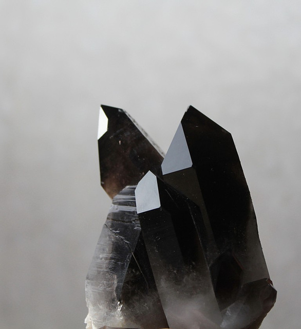 Quartz fumé noir - Morion