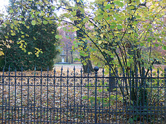 herbstlicher Schlosspark