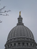 Madison, WI labor protest (3965)